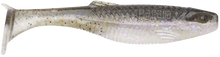 Cargar imagen en el visor de la galería, The Mayor