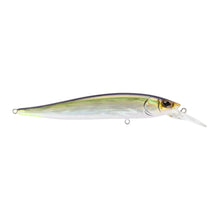 Cargar imagen en el visor de la galería, Berkley Stunna
