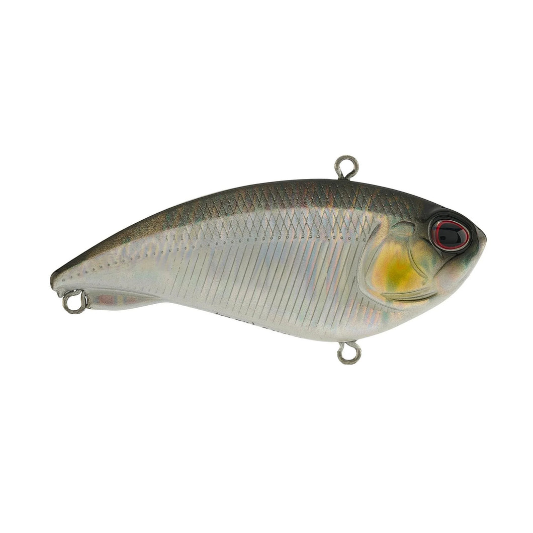 Berkley Jack 6