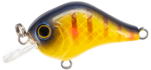 Load image into Gallery viewer, Gnat BFS Micro-Crank
