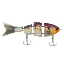 Load image into Gallery viewer, Lil Baby Bull Shad
