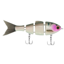 Load image into Gallery viewer, Lil Baby Bull Shad
