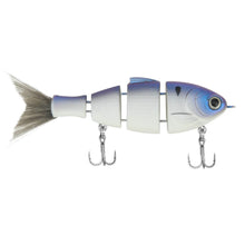 Load image into Gallery viewer, Lil Baby Bull Shad
