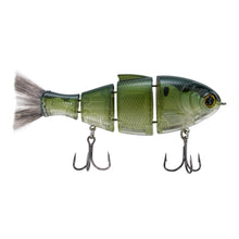 Load image into Gallery viewer, Bucca Bull Shad
