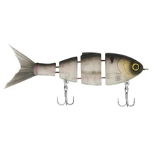 Load image into Gallery viewer, Lil Baby Bull Shad
