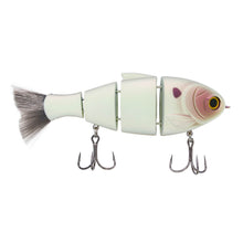 Load image into Gallery viewer, Bucca Bull Shad
