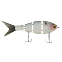 Load image into Gallery viewer, Lil Baby Bull Shad

