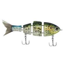Load image into Gallery viewer, Lil Baby Bull Shad
