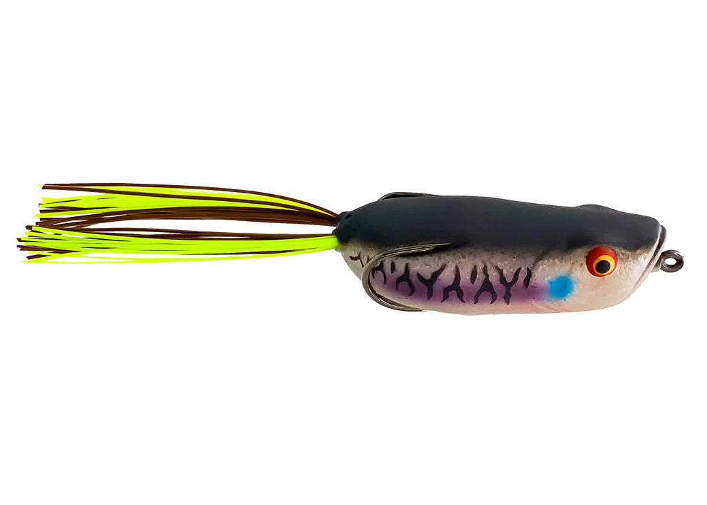 Toad Thumper Swamper