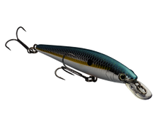 Load image into Gallery viewer, KVD 100 Jerkbait
