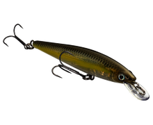 Load image into Gallery viewer, KVD 100 Jerkbait
