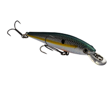 Load image into Gallery viewer, KVD 100 Jerkbait
