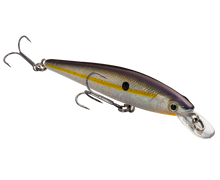 Load image into Gallery viewer, KVD 100 Jerkbait
