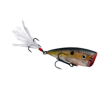 Cargar imagen en el visor de la galería, KVD Splash JR.
