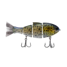 Load image into Gallery viewer, Bucca Bull Shad
