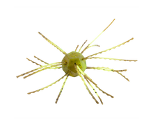 Load image into Gallery viewer, Strike King Tumbleweed Floating
