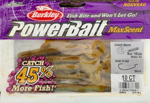 Load image into Gallery viewer, Berkley Powerbait Maxscent Lunch Worm 6in
